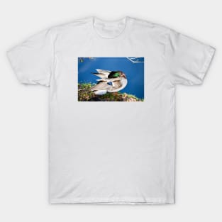 Duck / Swiss Artwork Photography T-Shirt